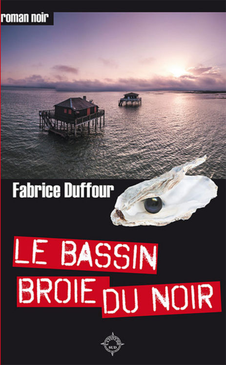 BASSIN BROIE DU NOIR (LE)
