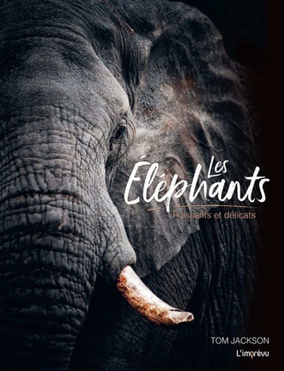ELEPHANTS - PUISSANTS ET DELICATS