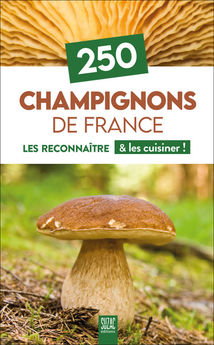 250 CHAMPIGNONS DE FRANCE - LES RECONNAITRE & LES CUISINER !