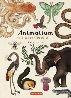 ANIMALIUM - 50 CARTES POSTALES